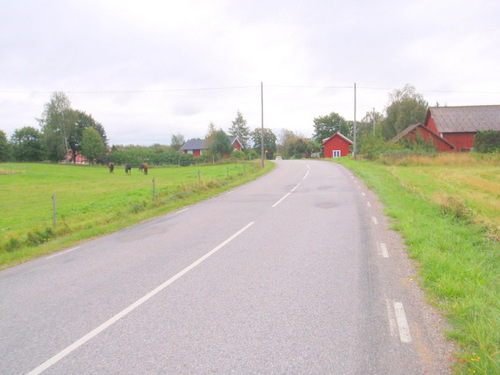 Comfortable cycling road, village ahead.
